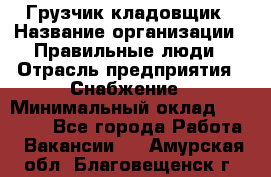 Грузчик-кладовщик › Название организации ­ Правильные люди › Отрасль предприятия ­ Снабжение › Минимальный оклад ­ 26 000 - Все города Работа » Вакансии   . Амурская обл.,Благовещенск г.